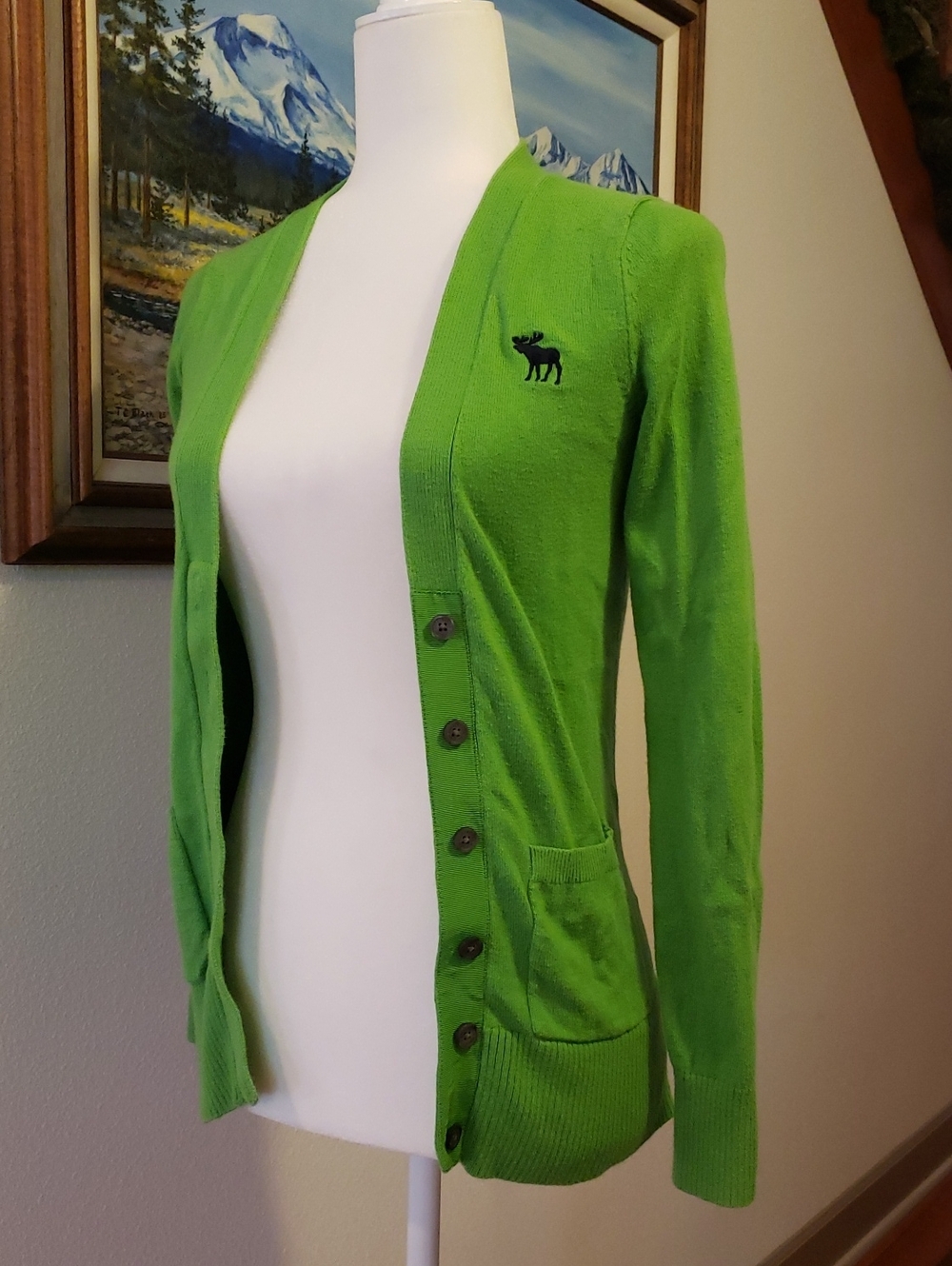 Abercrombie & Fitch Women's Size Extra Small Green Cardigan